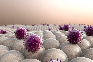 חסר בנוגדנים – סיבה שכיחה לחסר חיסוני