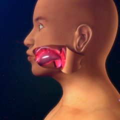 הטיפול באנגיואדמה תורשתית