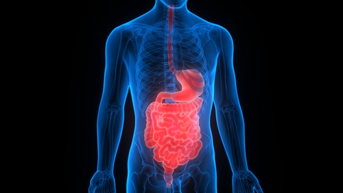 הדלקת האאוזינופילית של מערכת העיכול