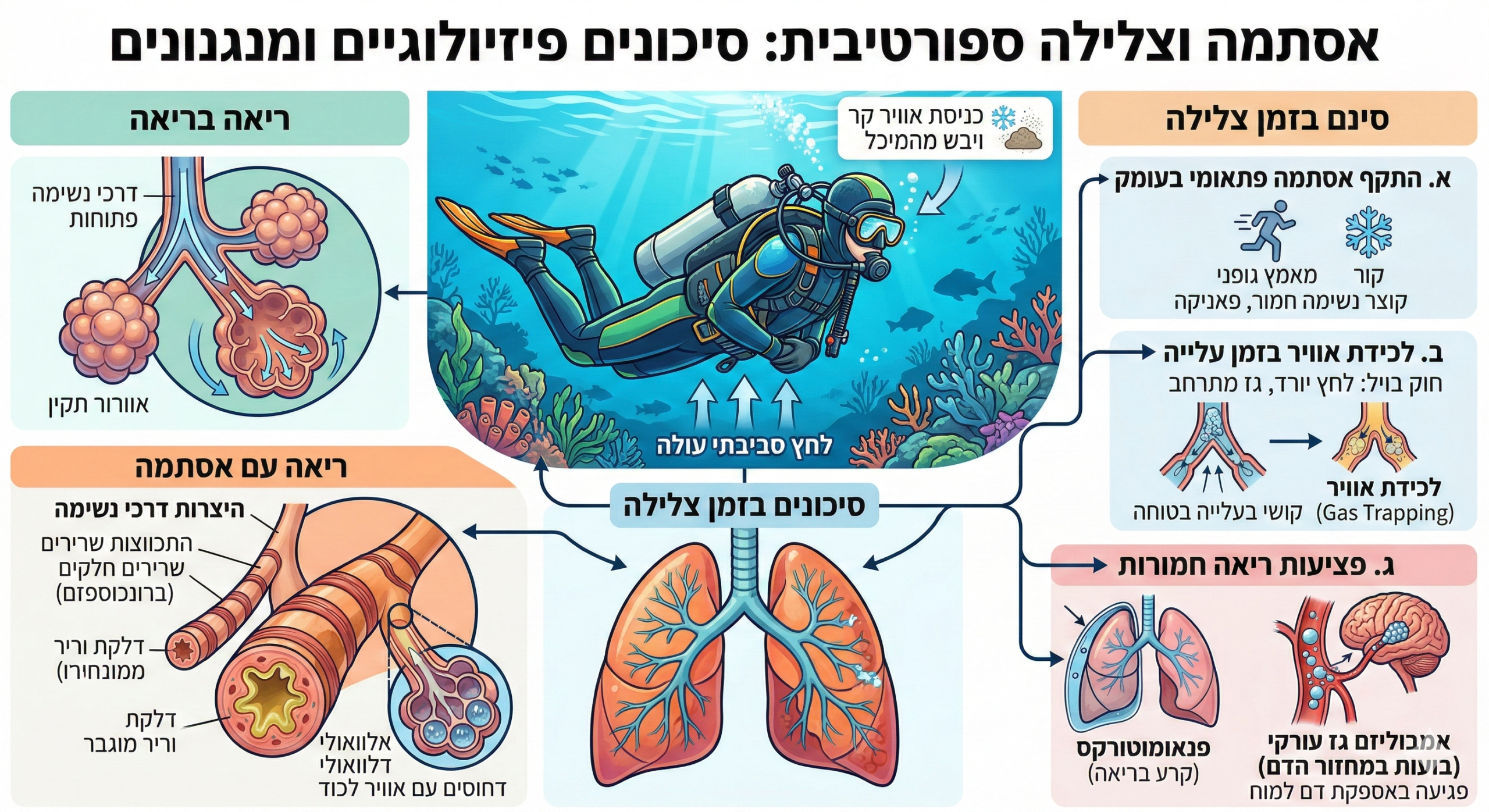 אסתמה וצלילה
